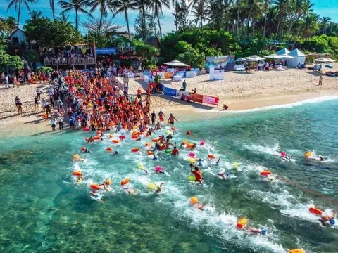 Lễ hội du lịch Quảng Ngãi 2026: Điểm hẹn lễ hội và hành trình chạm tới thiên đường biển đảo