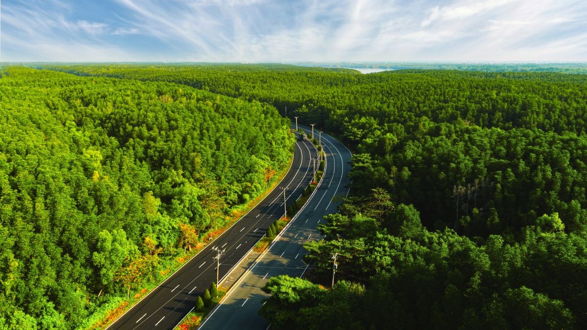 Hàng trăm món ngon hội tụ tại Ngày hội Sợi Gạo Việt lần đầu diễn ra tại TP.HCM