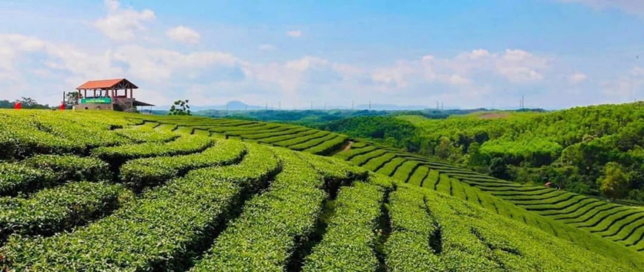 doi-che-2-1782403149.jpg