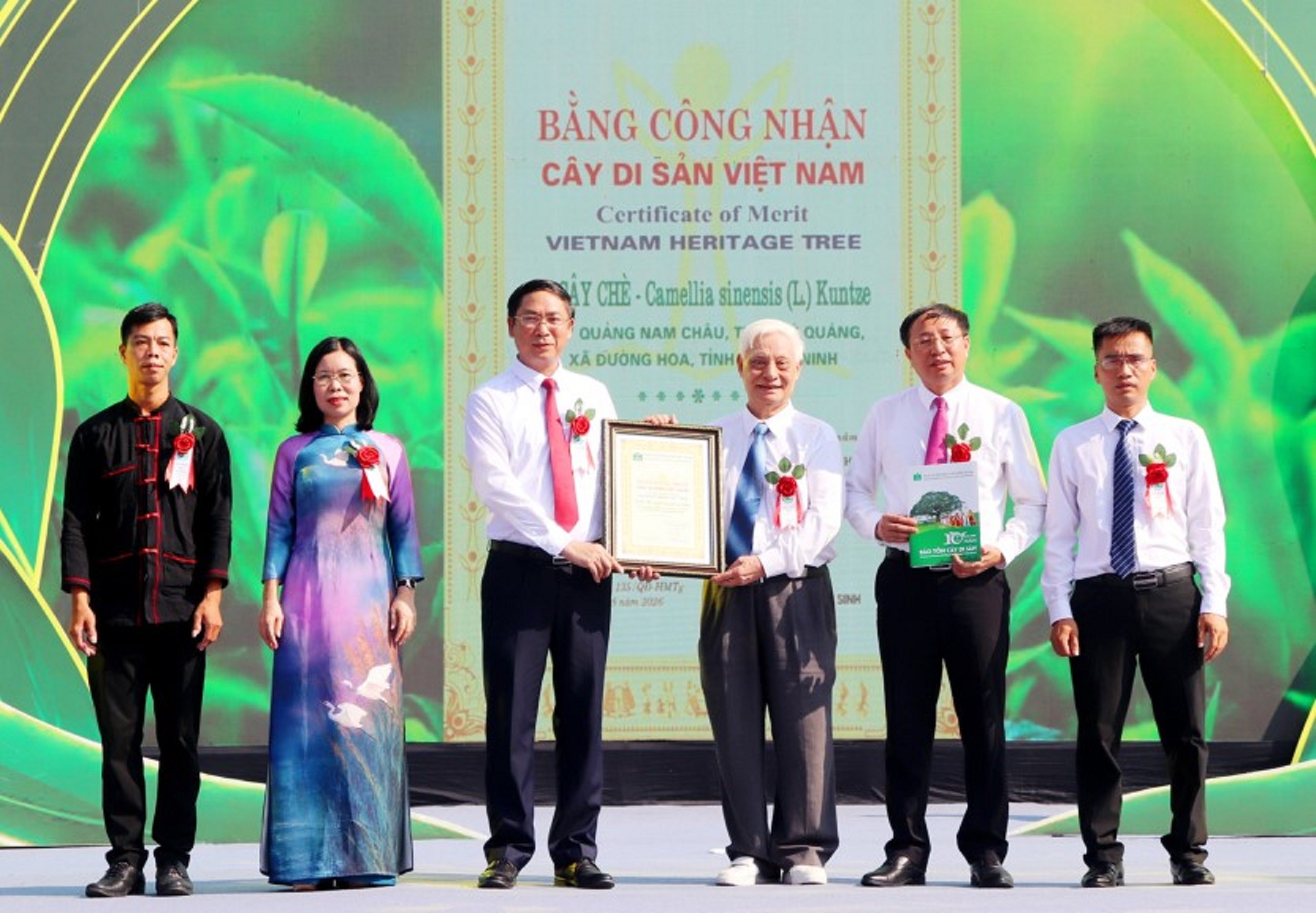 2-cay-du-san-1786457114 2-cay-du-san-1786457114.jpg