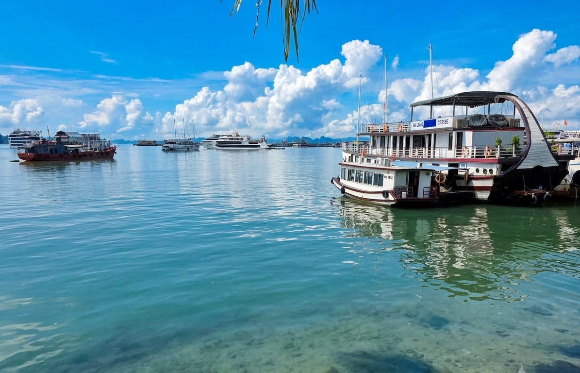 bien-ha-long-trong-xanh-1785340319 bien-ha-long-trong-xanh-1785340319.png