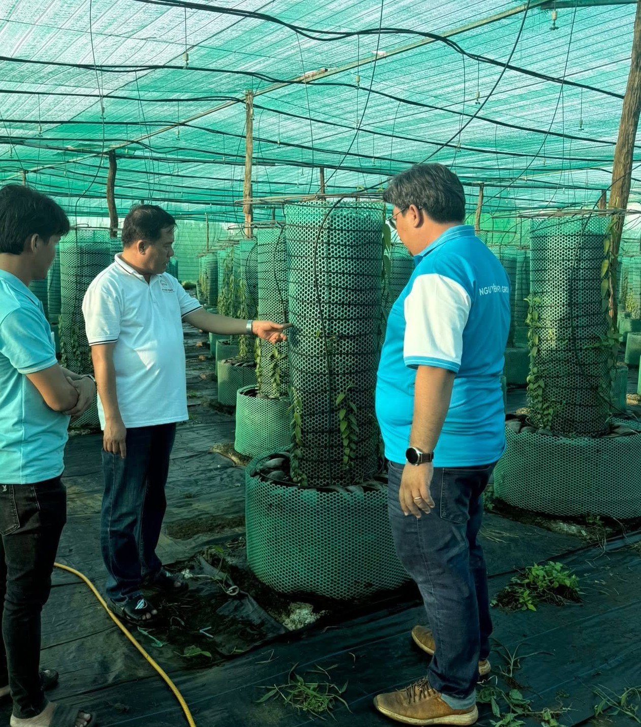 nong-nghiep-trong-nha-kinh-1786362338.jpg
