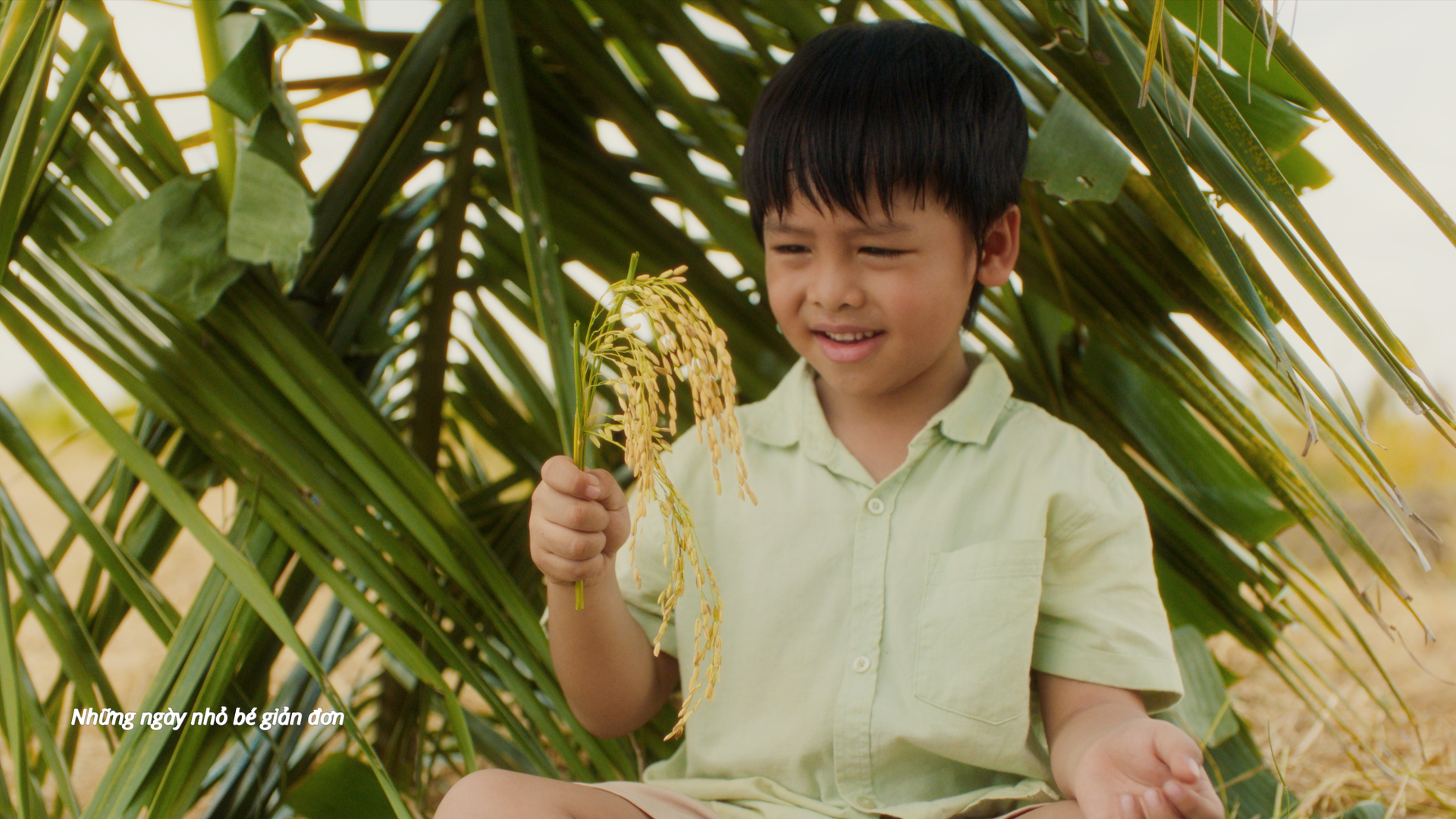 phuong-my-chi-mv-gao-cua-ta-6-1792039886.png